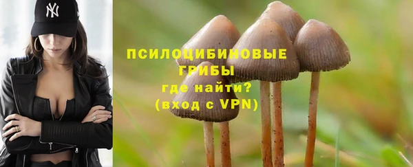 крисы Арсеньев