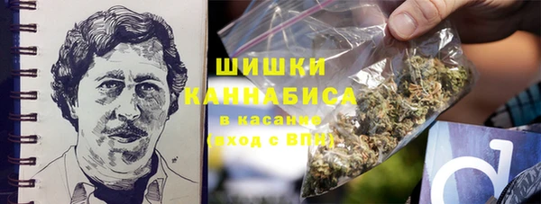 крисы Арсеньев